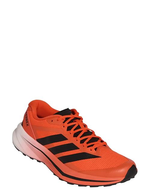 adidas Terrex | Terrex Agravic Lite | 48