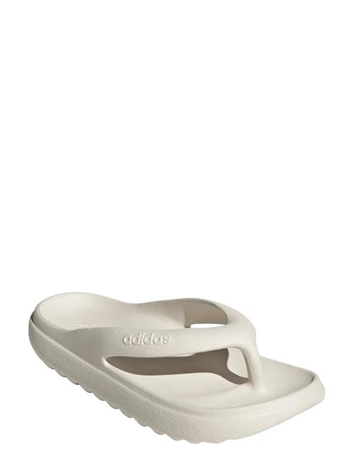 adidas Sportswear | Adilette Lumia Flip Flop | 39