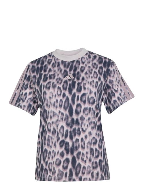 adidas Sportswear | W Aop 3S T | M