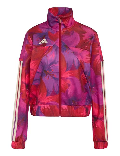 adidas Sportswear | Farm Tiro Tt | S