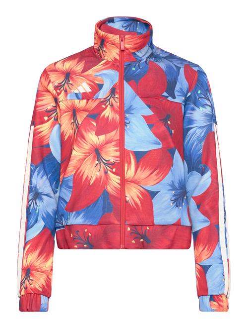 adidas Sportswear | Farm Tiro Tt | M