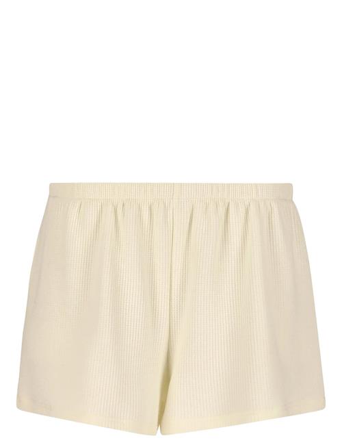 Athlecia | Cardall W Waffle Shorts | 38