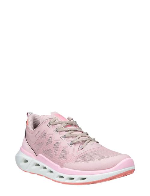 ECCO | Biom 720 W | 42