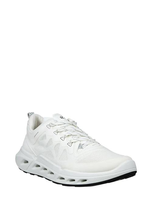 ECCO | Biom 720 W | 42