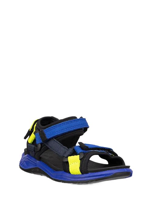 ECCO | X-Trinsic K | 36