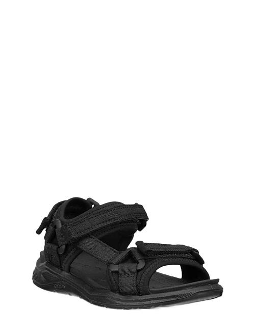 ECCO | X-Trinsic K | 37