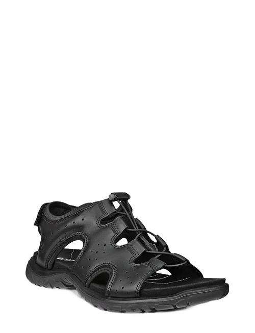 ECCO | Offroad Roam W | 35