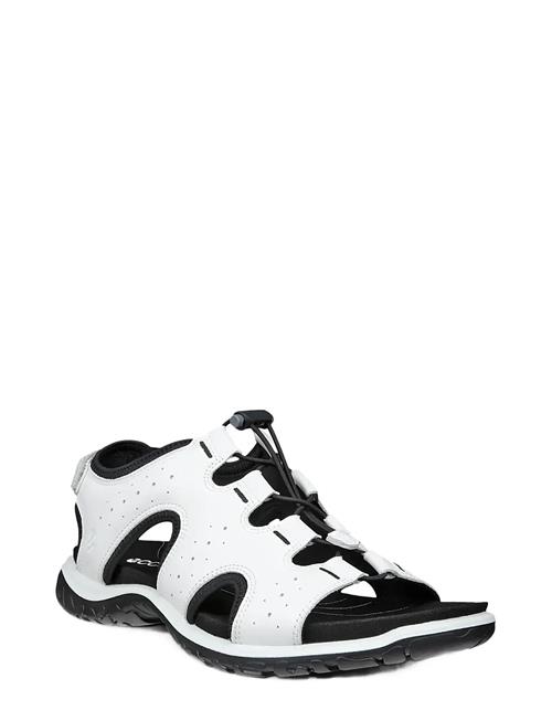 ECCO | Offroad Roam W | 43