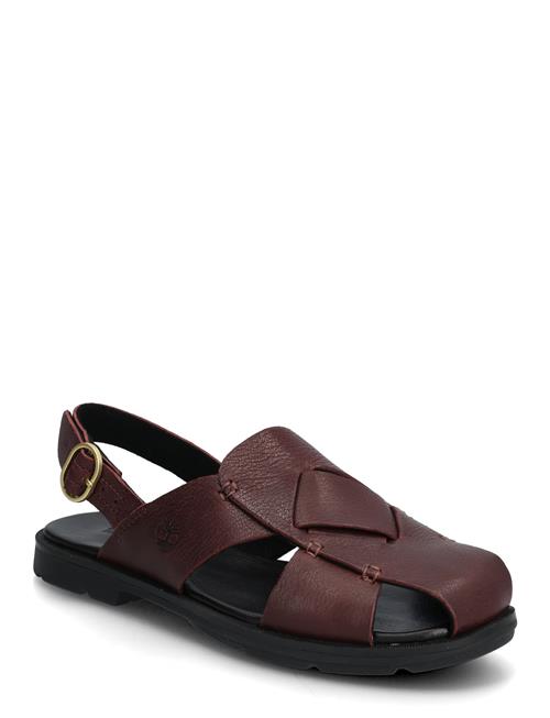 Timberland | Backstrap Sandal | 40