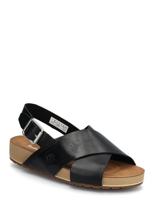 Timberland | Backstrap Sandal | 36