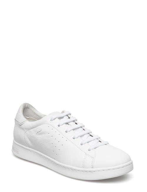 GEOX | D Jaysen A | 40