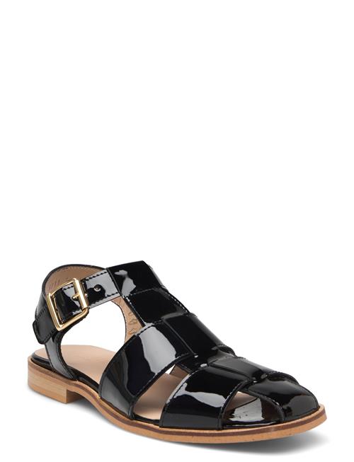 ANGULUS | Sandals - Flat | 38.5