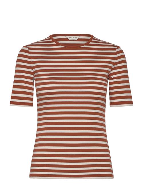 Gant | Slim Striped 1X1 Ribbed Ss T-Shirt | XL