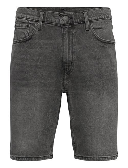 Levi's® | 445 Athletic Shorts Down To My | 32
