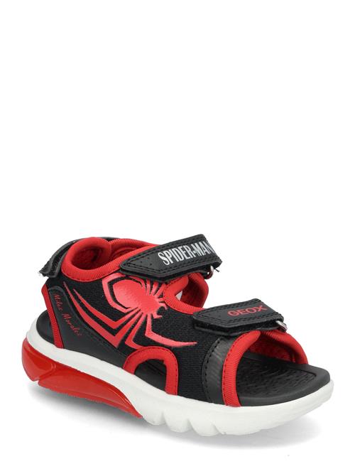 GEOX | J Sandal Ciberdron B | 34