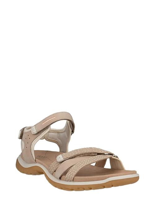 ECCO | Offroad Roam W | 40