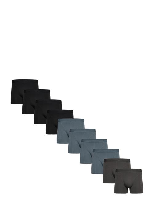 Claudio | Claudio 10-Pack Tights | L