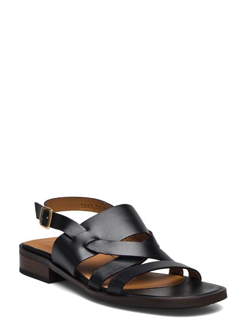 ANGULUS | Sandals - Flat | 38