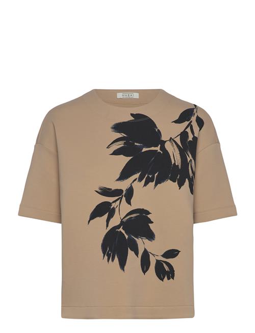 Masai | Madominan | L