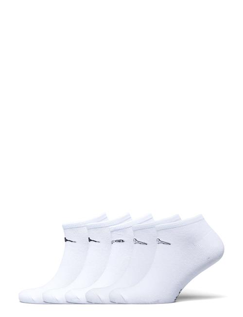 KAPPA | Trex Dk 5 Pack | 39-42