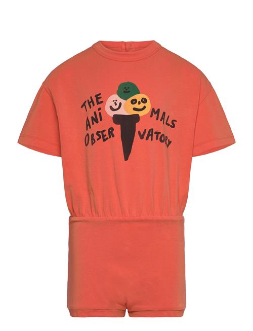 THE ANIMALS OBSERVATORY | Koala Kid Body Salmon | 6 Y