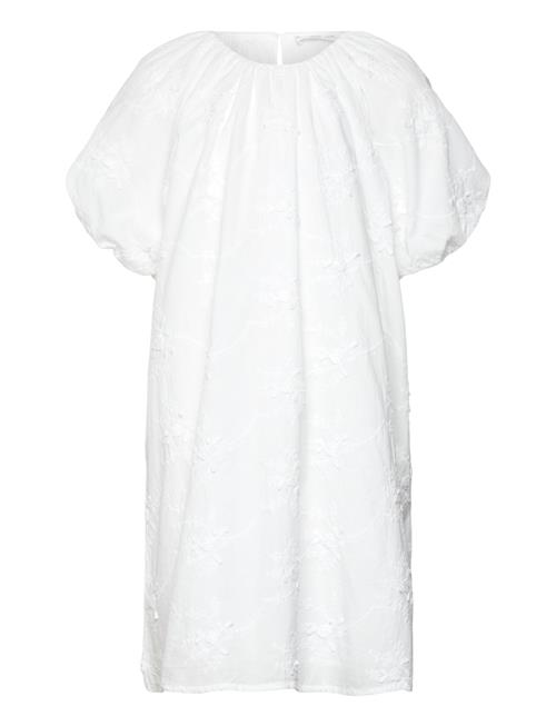 Mango | Dress .-- Pompi | 134