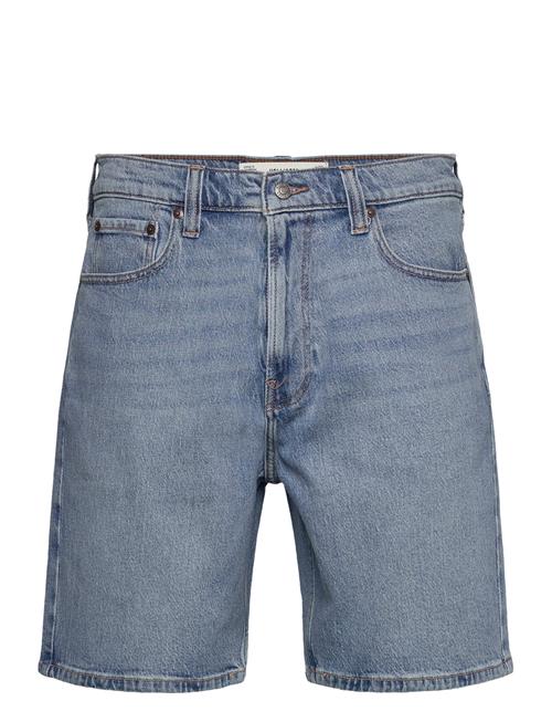 Hollister | Hco. Guys Shorts | 32