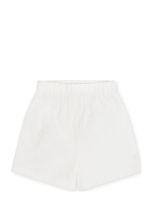 That's Mine | Iris Shorts | 110