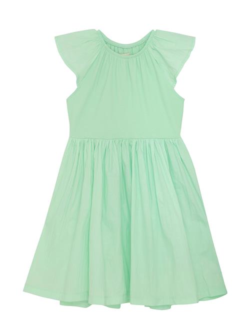 Creamie | Dress Rib | 110