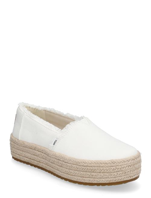TOMS | Valencia | 37.5