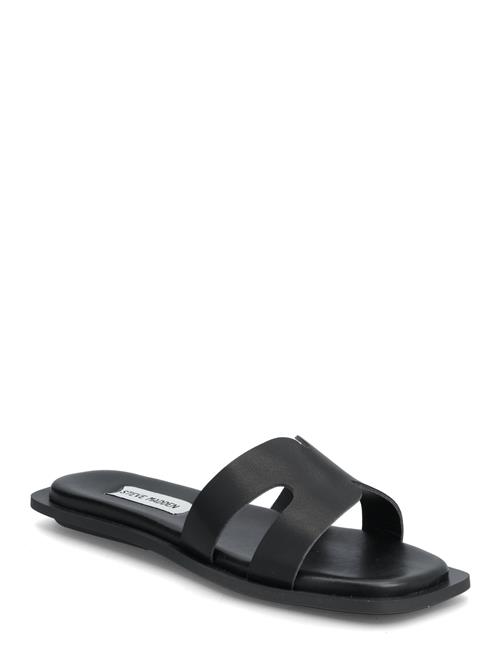 Steve Madden | Sofia | 39