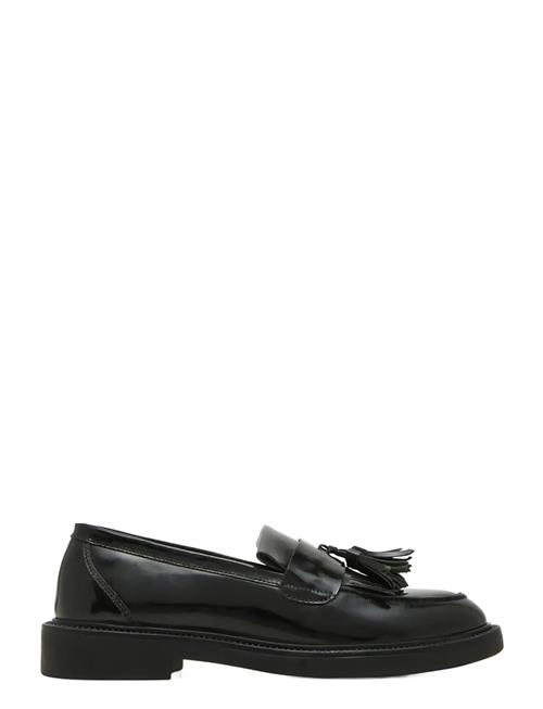 Steve Madden | Hidie | 38