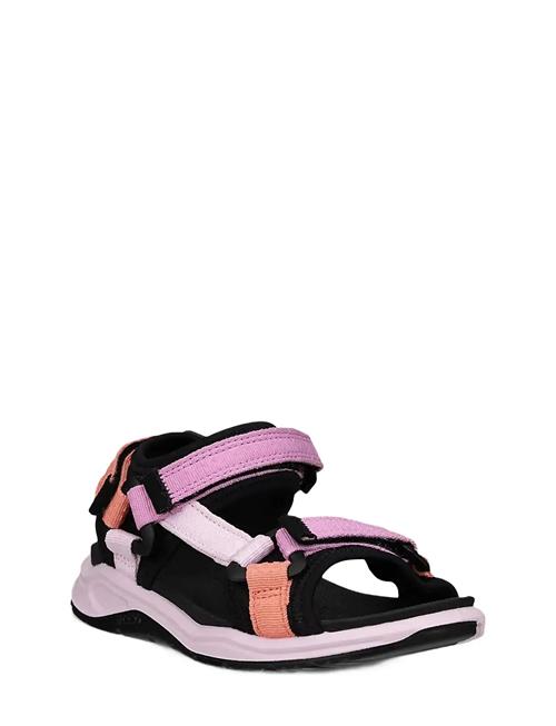 ECCO | X-Trinsic K | 39