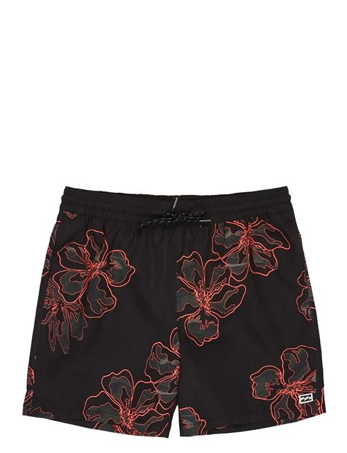 Billabong | Sundays Lb | S