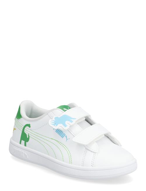 PUMA | Puma Smash 3.0 Dino V Ps | 35