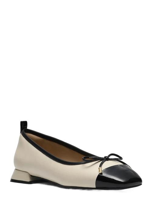 Clarks | Ubree15 Poppy D | 39
