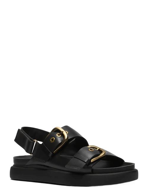 Clarks | Aristella Bay D | 37.5