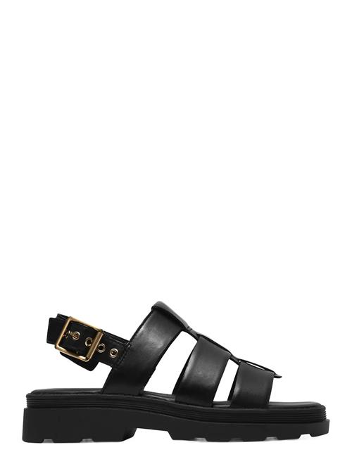 Clarks | Orinoco3 Strap D | 37.5