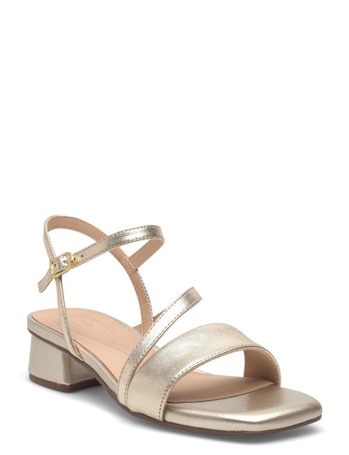 Clarks | Serina35 Strap D | 37