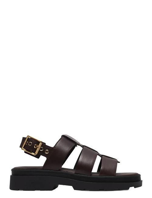 Clarks | Orinoco3 Strap D | 39