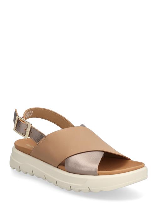 GEOX | D Xand 2.1S E | 37