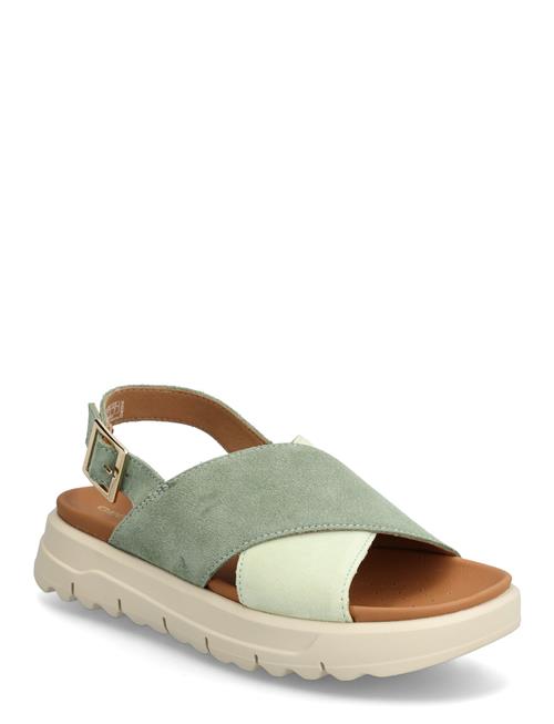 GEOX | D Xand 2.1S E | 40