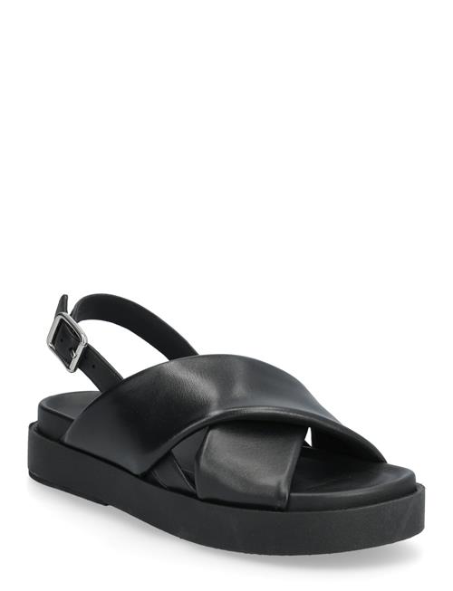 GEOX | D Adelash H A | 37