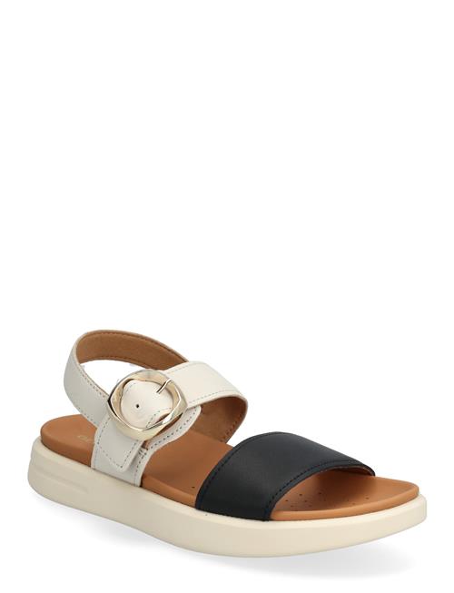 GEOX | D Xand 2S A | 37