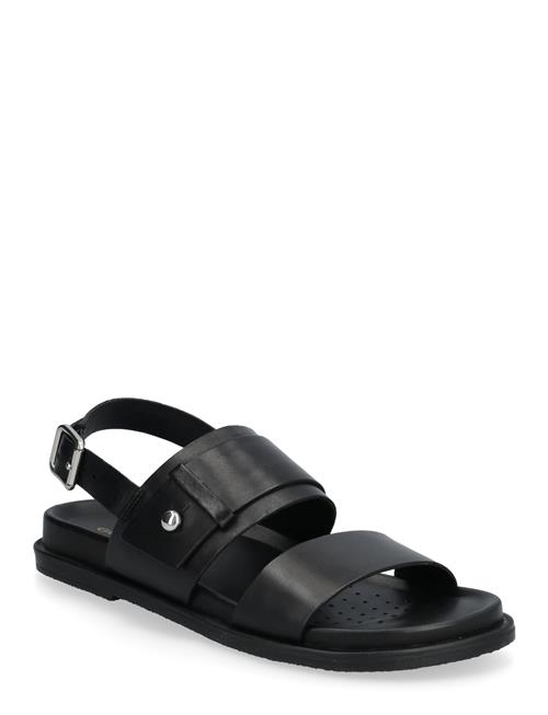 GEOX | D Adelash A | 40