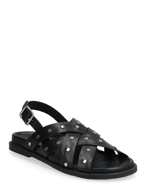 GEOX | D Adelash C | 39