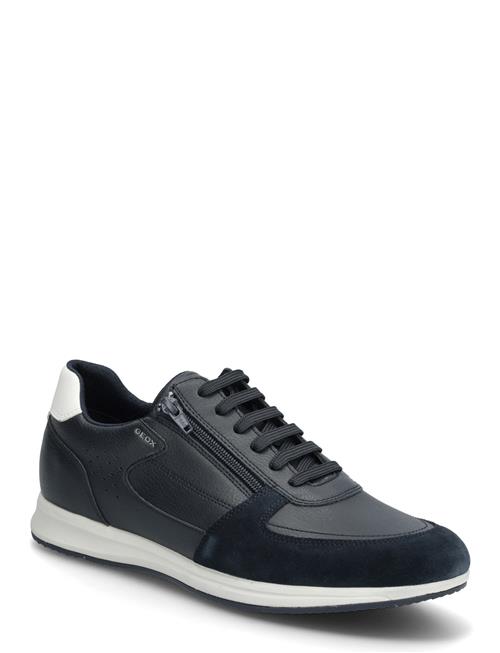 GEOX | U Avery A | 45