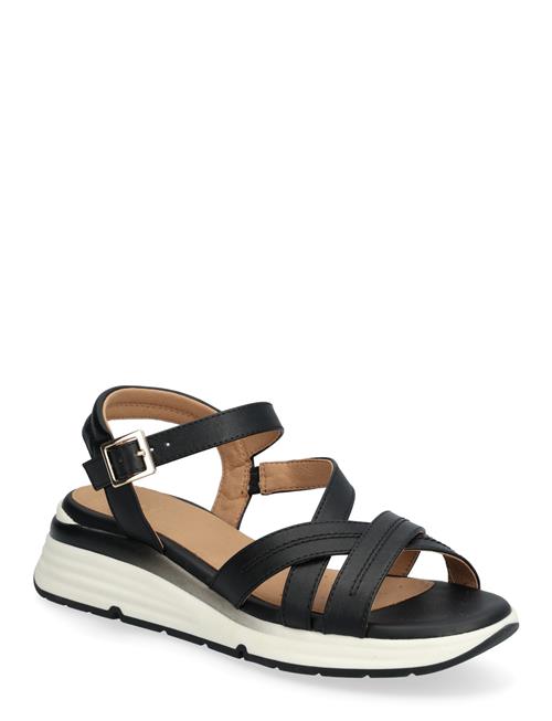 GEOX | D Elowynne A | 36