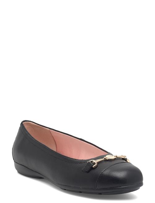 GEOX | D Annytah A | 36
