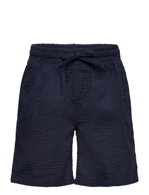 Jack & Jones | Jpstjaiden Jjpalma Seersucker Shor Jnr | 134